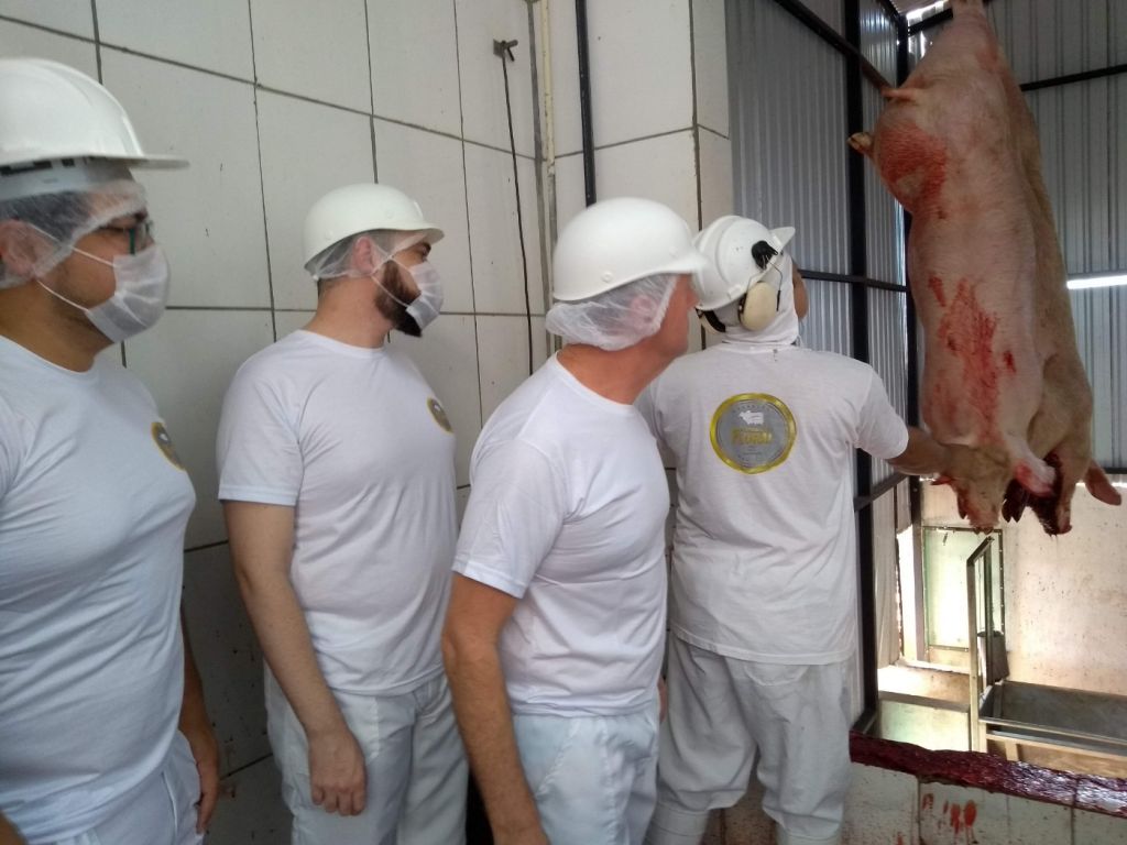 Visita a frigorífico de suínos
